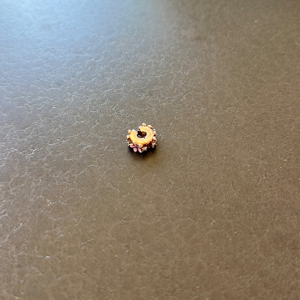 Pandora daisy spacer